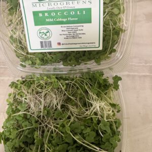Broccoli