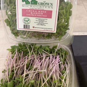 China Rose Radish