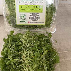 Cilantro