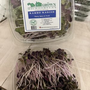 Purple Rambo Radish