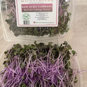 Red Acre Cabbage