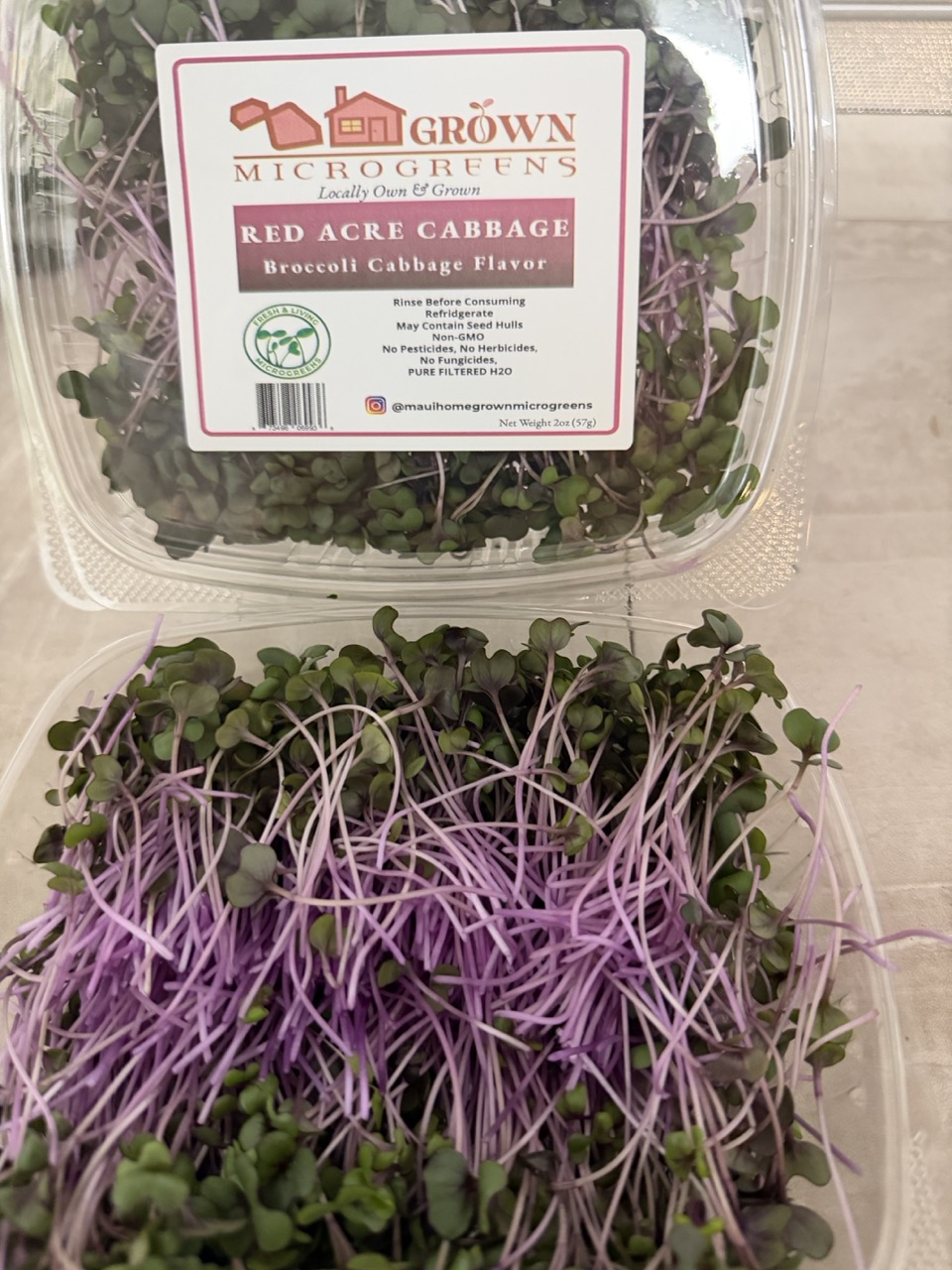 Red Acre Cabbage